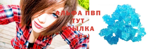 PSILOCYBIN Вязники
