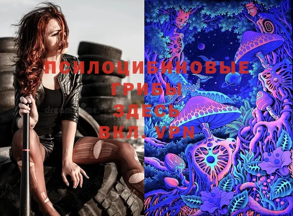 PSILOCYBIN Вязники
