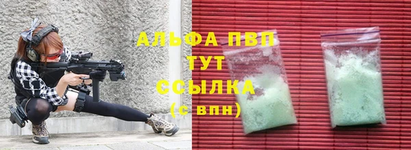 PSILOCYBIN Вязники