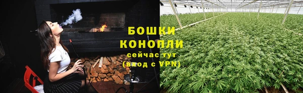 PSILOCYBIN Вязники