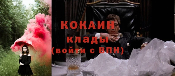 PSILOCYBIN Вязники