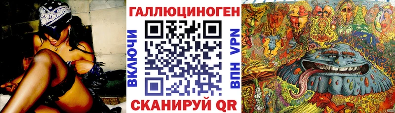 Псилоцибиновые грибы Psilocybe  блэк спрут зеркало  Гусь-Хрустальный  купить закладку 